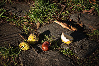 Bernhard Saalfeld - Autumn is coming 2022
